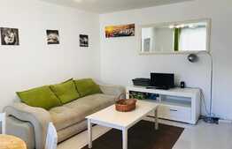 Apartament 2 camere, 48 mp, mobilat modern, zona strazii Horea