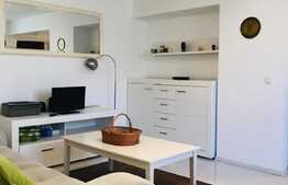 Apartament 2 camere, 48 mp, mobilat modern, zona strazii Horea