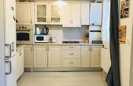 Apartament 2 camere, 48 mp, mobilat modern, zona strazii Horea