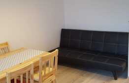 De vanzare 2 camere, 28 mp, zona strazii Constantin Brancusi