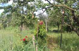 Casa de vanzare, 127 mp, teren aferent 1.440 mp, zona de case