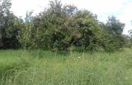 Casa de vanzare, 127 mp, teren aferent 1.440 mp, zona de case