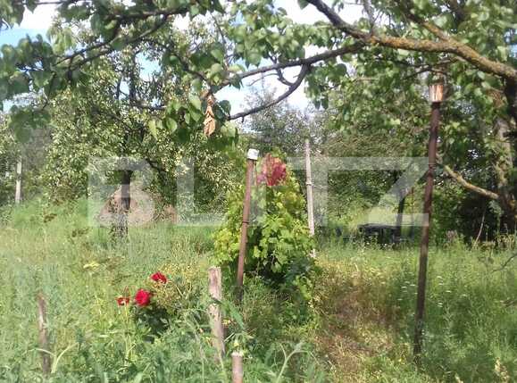 Casa de vânzare 3 camere Dambul Rotund - 32934CV | BLITZ Cluj-Napoca | Poza10