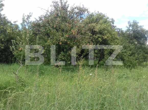 Casa de vânzare 3 camere Dambul Rotund - 32934CV | BLITZ Cluj-Napoca | Poza9