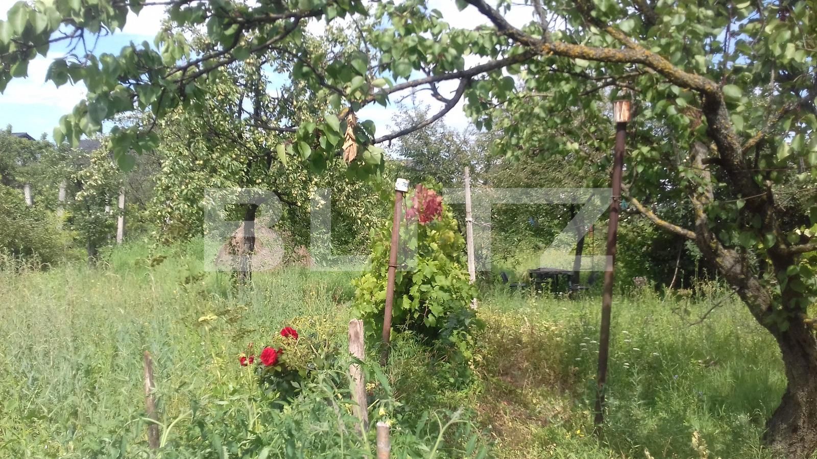 Casa de vânzare 3 camere Dambul Rotund - 32934CV | BLITZ Cluj-Napoca | Poza10