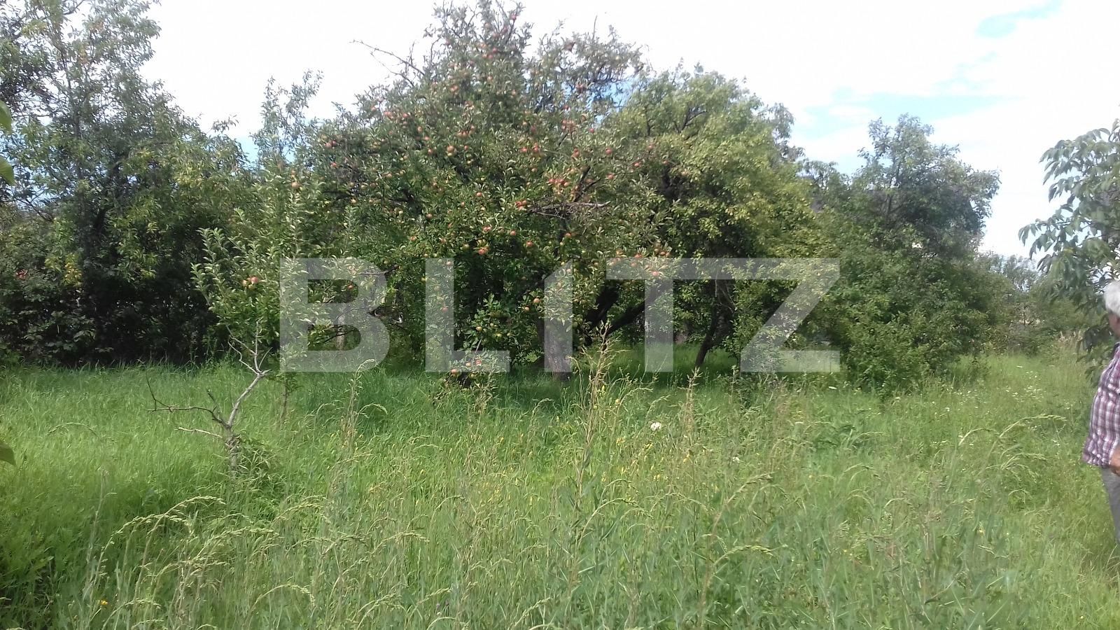 Casa de vânzare 3 camere Dambul Rotund - 32934CV | BLITZ Cluj-Napoca | Poza9