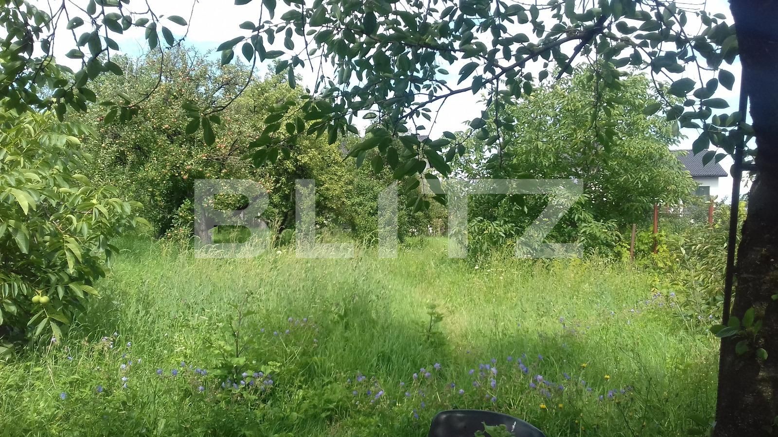 Casa de vânzare 3 camere Dambul Rotund - 32934CV | BLITZ Cluj-Napoca | Poza11