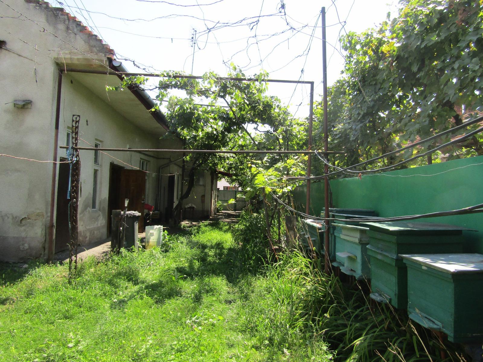 Casa de vânzare 4 camere Marasti - 32937CV | BLITZ Cluj-Napoca | Poza3