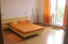 Apartament tip studio, 44 mp, decomandat, imobil nou, mobilat modern, panorama, zona Complex Diana 