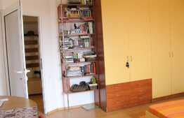 Apartament tip studio, 44 mp, decomandat, imobil nou, mobilat modern, panorama, zona Complex Diana 