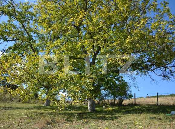 Teren de vânzare Floreşti - 32939TV | BLITZ Cluj-Napoca | Poza3