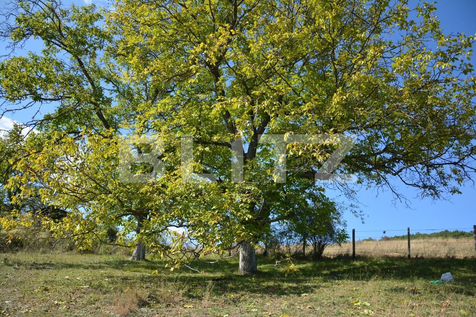 Teren de vânzare Floreşti - 32939TV | BLITZ Cluj-Napoca | Poza3