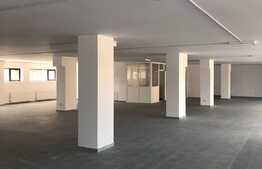 Show-room finisat cu parcari