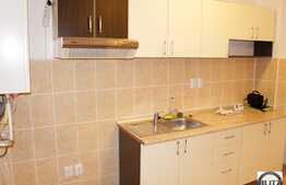 1 camera, 40 mp utili + terasa 8 mp, zona Interservisan, constructie noua