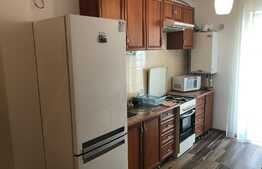 Garsoniera decomandata, 40 mp, mobilata si utilata! Zona strazii Florilor.