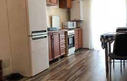 Garsoniera decomandata, 40 mp, mobilata si utilata! Zona strazii Florilor.