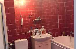 Apartament cu o camera, 46 mp, loc de parcare cu CF, zona strazii Florilor!