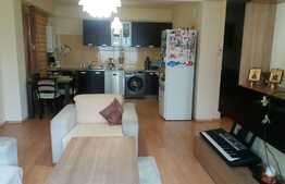 Apartament superb cu 2 camere in vila, parcare, strada Campului