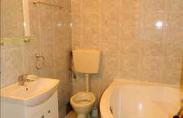 Apartament cu 1 camera, A.C, 40 mp + mezanin interior de 15 mp