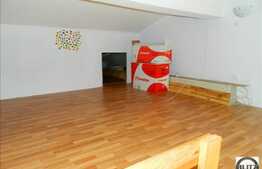 Apartament cu 1 camera, A.C, 40 mp + mezanin interior de 15 mp