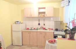 Garsoniera, 33 mp, zona strazii Horea