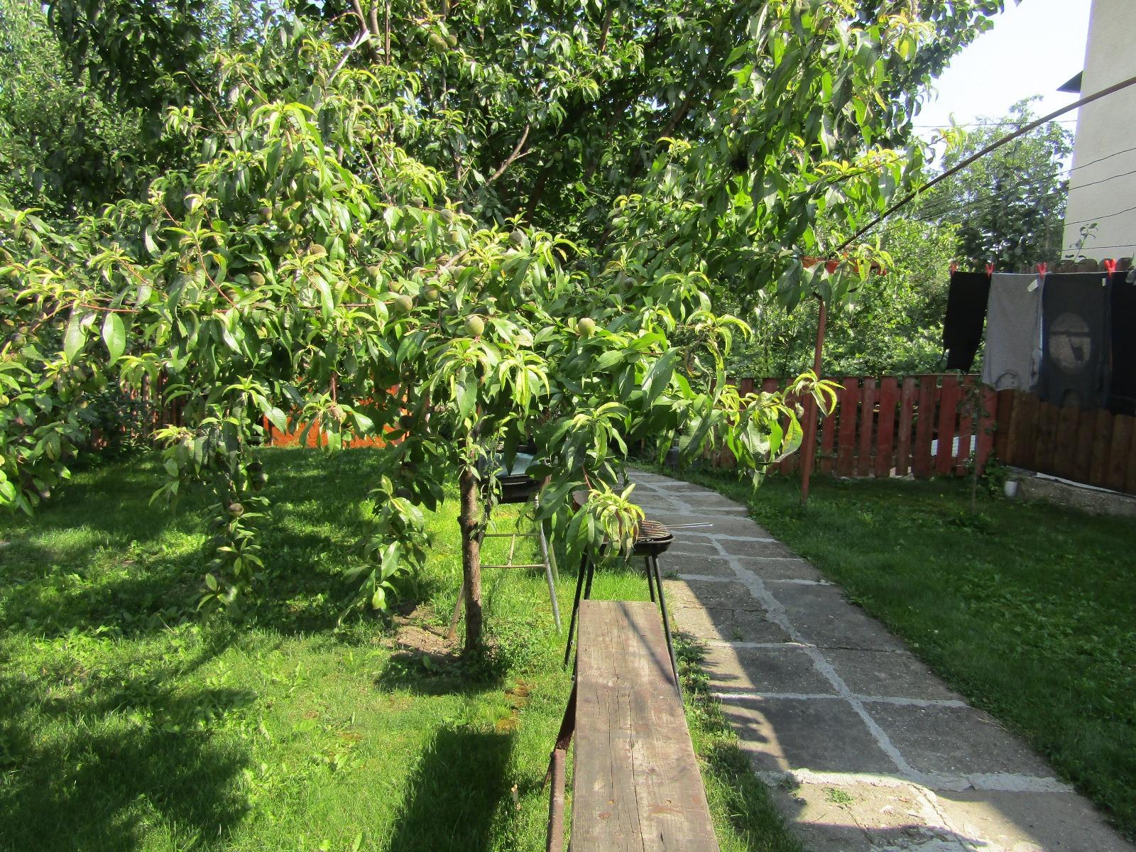 Casa de vânzare 2 camere Dambul Rotund - 33097CV | BLITZ Cluj-Napoca | Poza4