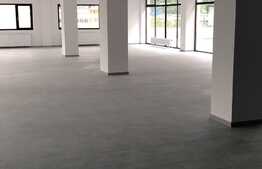 Birouri open space cu terasa generoasa