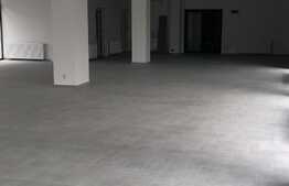 Birouri open space cu terasa generoasa