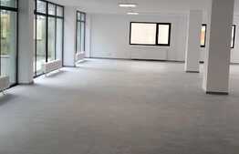 Birouri open space cu terasa generoasa