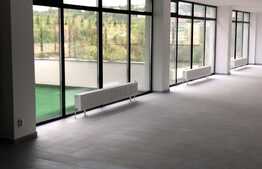 Birouri open space cu terasa generoasa