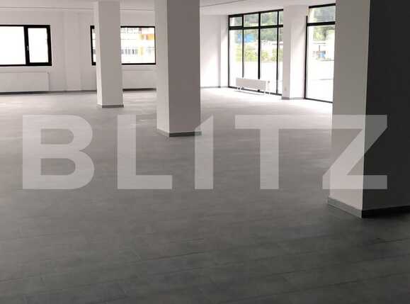 Spațiu birouri de închiriat Dambul Rotund - 33107SIB | BLITZ Cluj-Napoca | Poza5