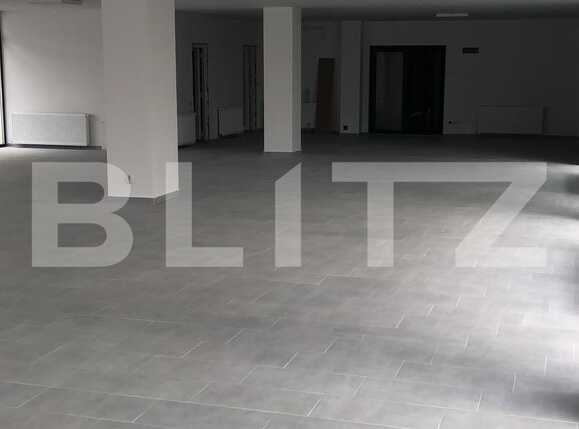 Spațiu birouri de închiriat Dambul Rotund - 33107SIB | BLITZ Cluj-Napoca | Poza2