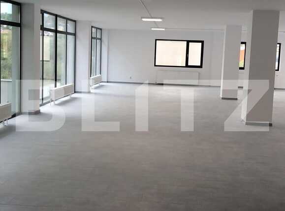 Spațiu birouri de închiriat Dambul Rotund - 33107SIB | BLITZ Cluj-Napoca | Poza1