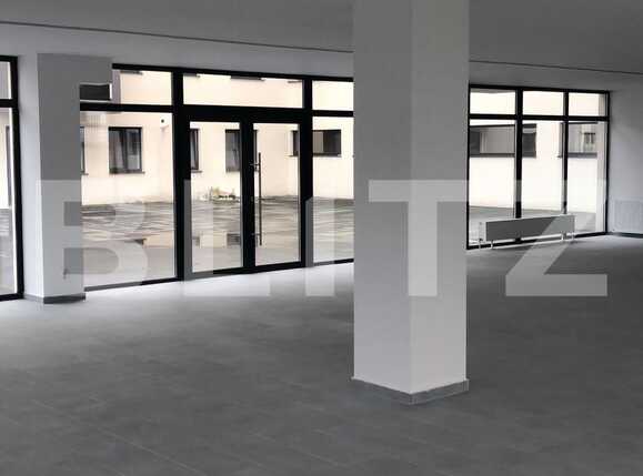 Spațiu birouri de închiriat Dambul Rotund - 33107SIB | BLITZ Cluj-Napoca | Poza3