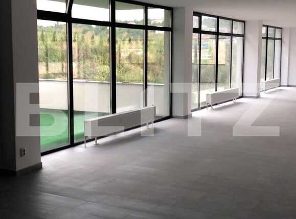 Spațiu birouri de închiriat Dambul Rotund - 33107SIB | BLITZ Cluj-Napoca | Poza8