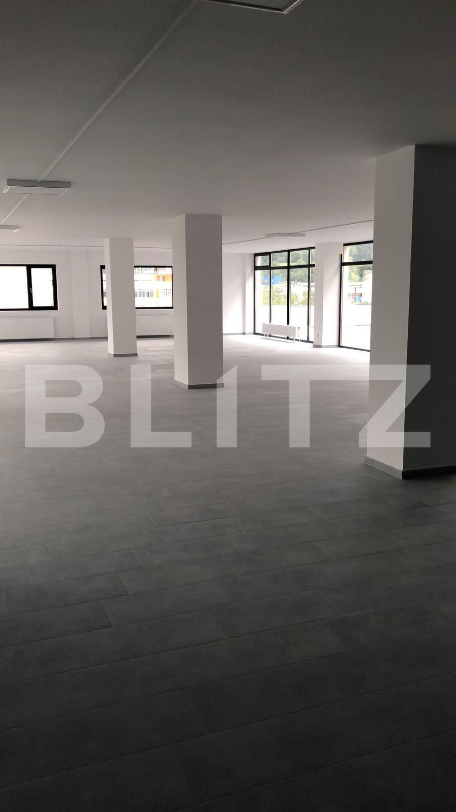 Spațiu birouri de închiriat Dambul Rotund - 33107SIB | BLITZ Cluj-Napoca | Poza5