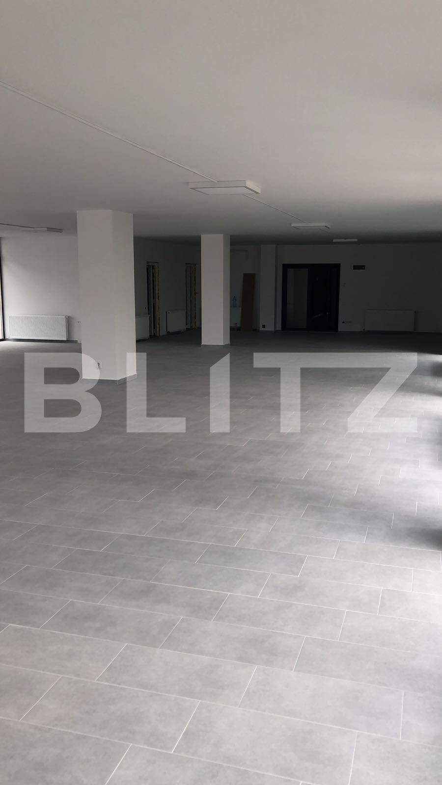 Spațiu birouri de închiriat Dambul Rotund - 33107SIB | BLITZ Cluj-Napoca | Poza2