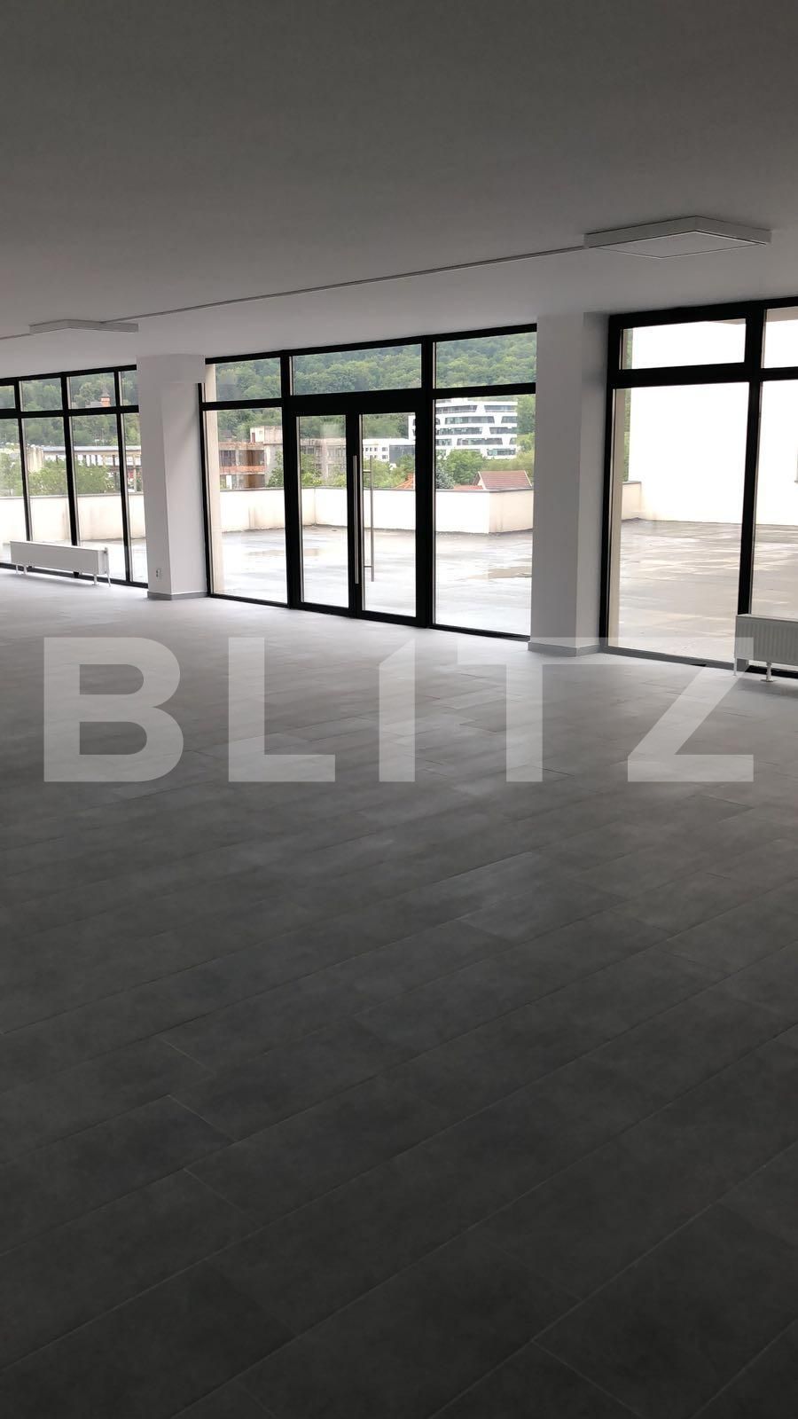 Spațiu birouri de închiriat Dambul Rotund - 33107SIB | BLITZ Cluj-Napoca | Poza6