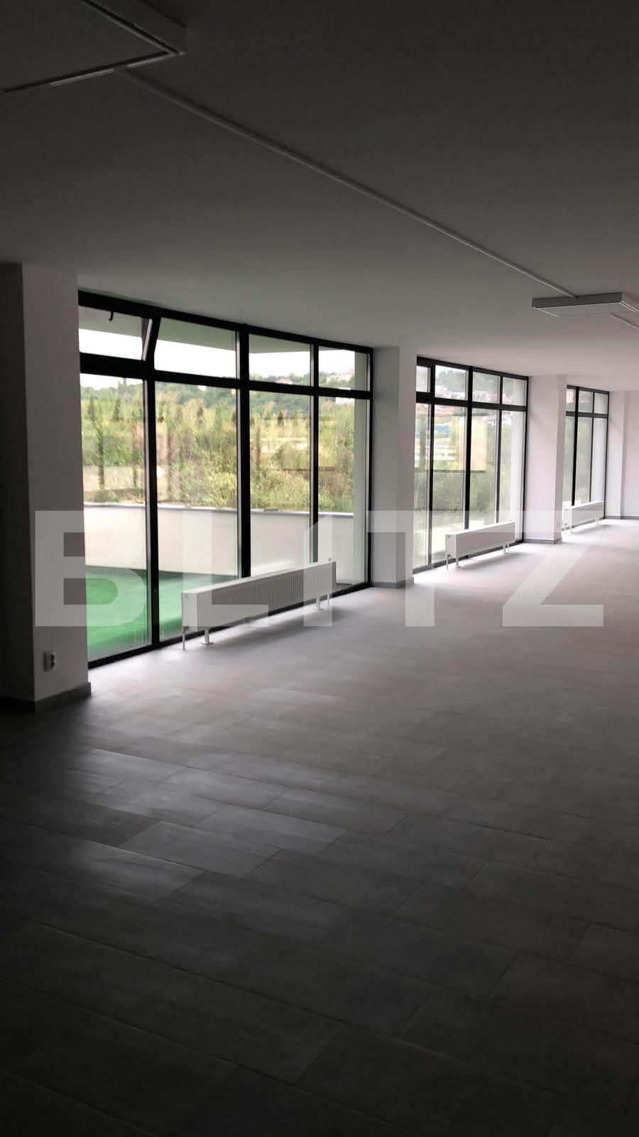 Spațiu birouri de închiriat Dambul Rotund - 33107SIB | BLITZ Cluj-Napoca | Poza8