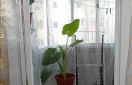 Vanzare 1 camera la 3 minute de Parcul Babes!