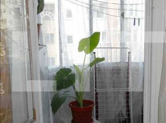 Garsonieră de vânzare Manastur - 3312AV | BLITZ Cluj-Napoca | Poza5