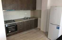 Apartament 1 camera, decomandat, 43 mp, garaj, zona strazii Bradutului