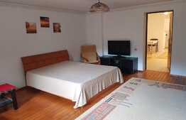 Apartament 2 camere, 75 mp, prima inchiriere, pet friendly, zona Liceului Onisifor Ghibor