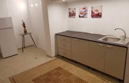 Apartament 2 camere, 75 mp, prima inchiriere, pet friendly, zona Liceului Onisifor Ghibor