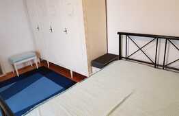 Apartament 2 camere, 50 mp, decomandat, zona Universitatii Tehnice