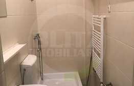 Spatiu birouri, 40 mp, zona Regionala CFR