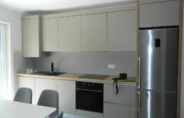 Apartament 2 camere, 40 mp, garaj, gradina, prima inchiriere, zona Strazii Aurel Vlaicu