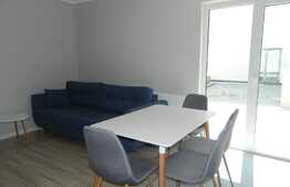 Apartament 2 camere, 40 mp, garaj, gradina, prima inchiriere, zona Strazii Aurel Vlaicu