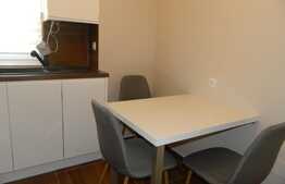 Garsoniera 40 mp, gradina, garaj, prima inchiriere, zona strazii Aurel Vlaicu