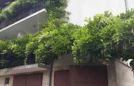 Casa individuala, 487 mp, zona excelenta! Curte cu 6 parcari